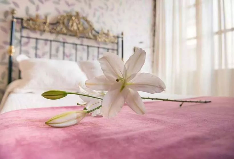 اتاق استاندارد سه نفره, Honest Granada