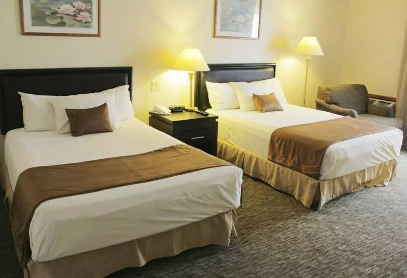 スタンダードルーム, Residencial Inn & Suites