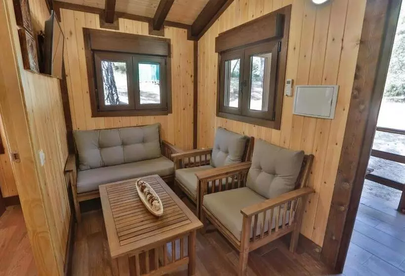 スタンダードバンガロー, Complejo Residencial Los Enebros