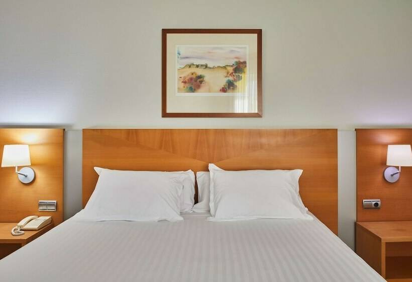 コンフォートルーム, Silken Luis De Leon