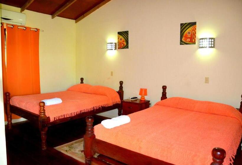 スタンダードルーム, The Log Cabinn