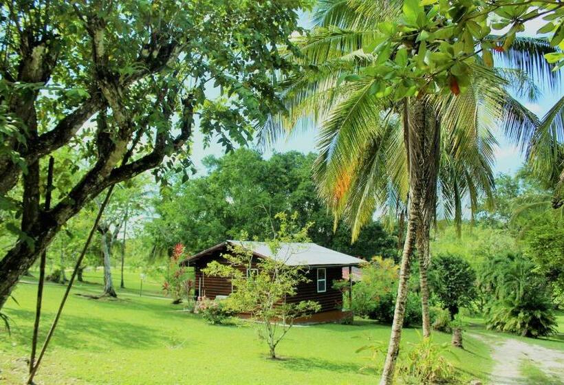 标准平房, The Log Cabinn