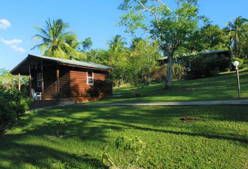 标准平房, The Log Cabinn