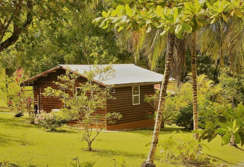 标准平房, The Log Cabinn