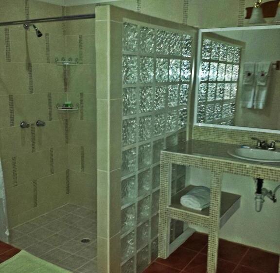 豪华洋房, The Log Cabinn