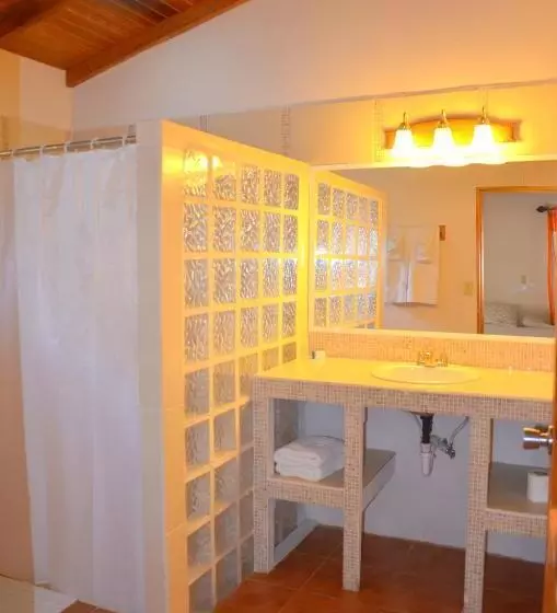 デラックスバンガロー, The Log Cabinn