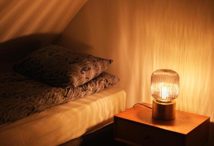 اتاق استاندارد با سرویس بهداشتی مشترک, Vík Hostel