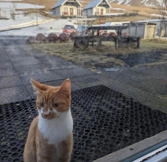 بنگله خانوادگی, Vík Hostel