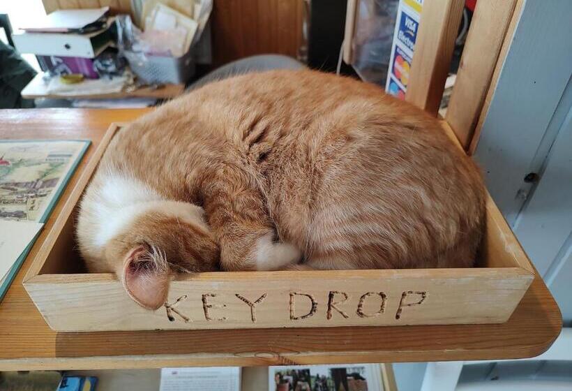 بنگله خانوادگی, Vík Hostel