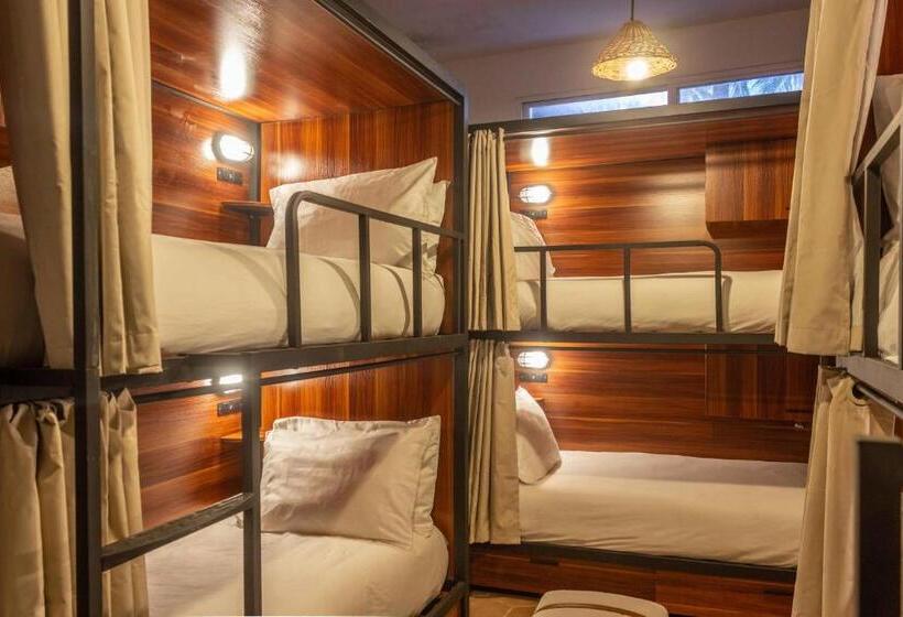 공동 객실, Selina Poc Na Isla Mujeres