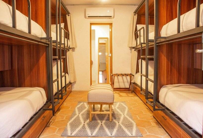 공동 객실, Selina Poc Na Isla Mujeres