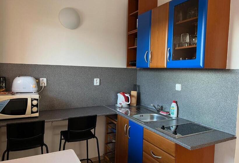 شقة غرفة نوم واحدة مزودة بشُرفة, Ubytovani Nikol