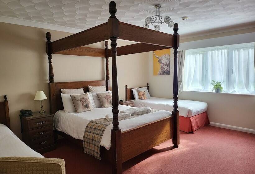 Номер Deluxe, Little Silver Country