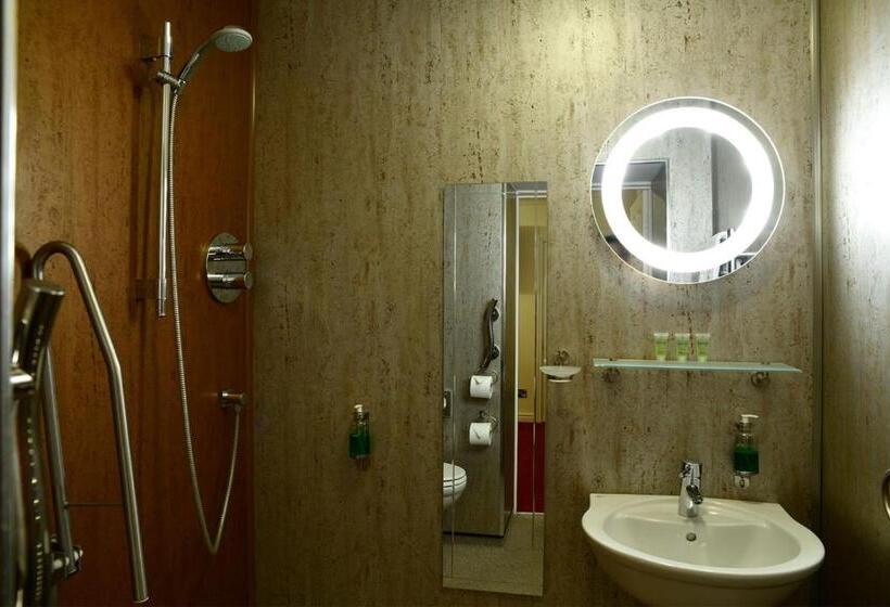 חדר סטנדרט עם מיטת קינג, The Knighton