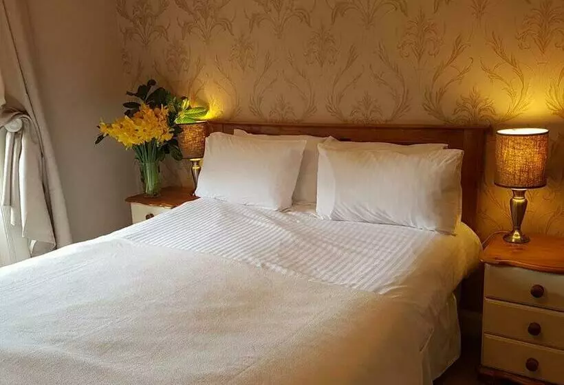 キングサイズベッドのエクゼクティブルーム, Plough Hotel