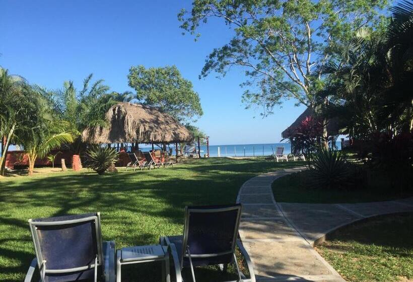 بانگلوی استاندارد با چشم‌انداز دریا, Tranquility Bay Beach Retreat