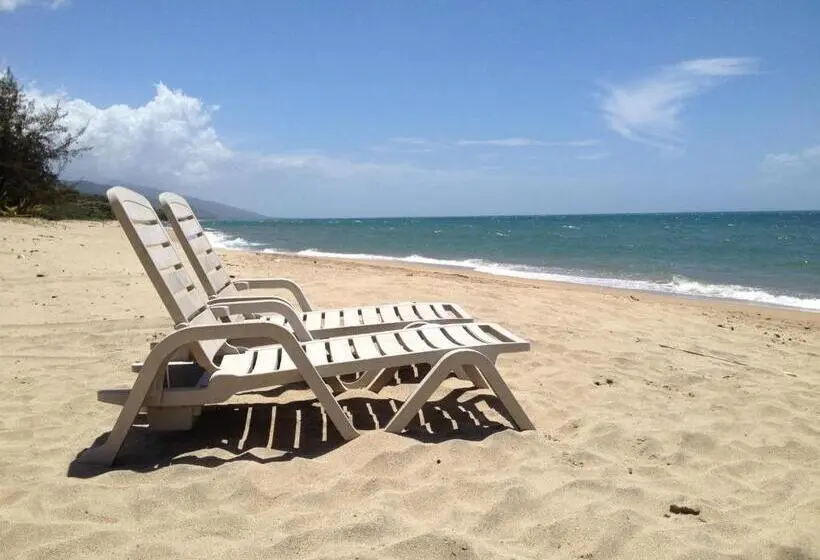 بانگلوی استاندارد با چشم‌انداز دریا, Tranquility Bay Beach Retreat