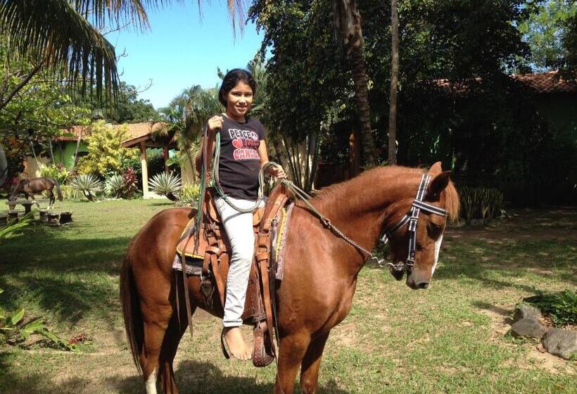 بانگلوی استاندارد با چشم‌انداز دریا, Tranquility Bay Beach Retreat