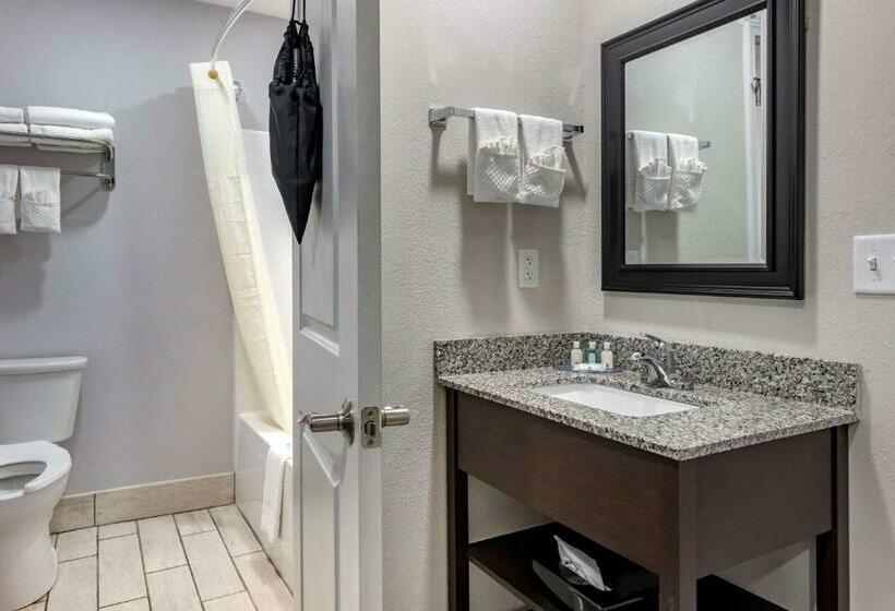 חדר סטנדרט שתי מיטות זוגיות, Quality Inn & Suites Evansville Downtown