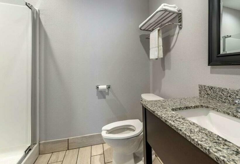 اتاق استاندارد با تخت بزرگ, Quality Inn & Suites Evansville Downtown