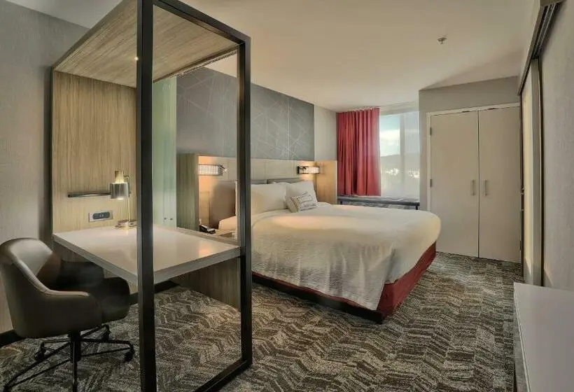 キングサイズベッドのスイートルーム, Springhill Suites Durango