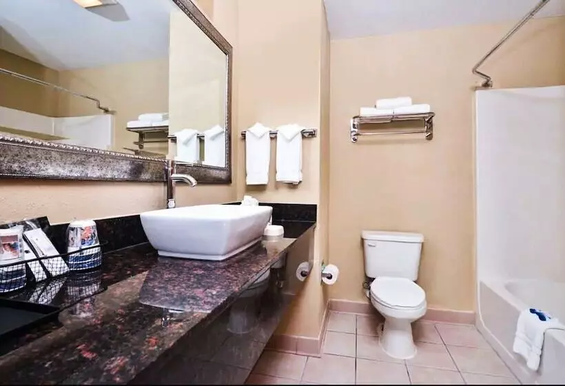 スイート, Best Western Plus Savannah Airport Inn And Suites