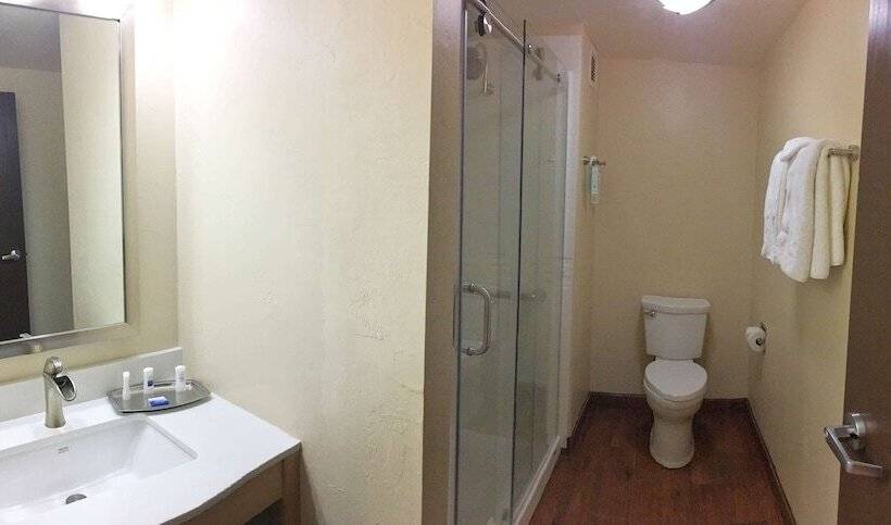 جناح لذوى الاحتياجات الخاصة, Best Western Plus South Coast Inn