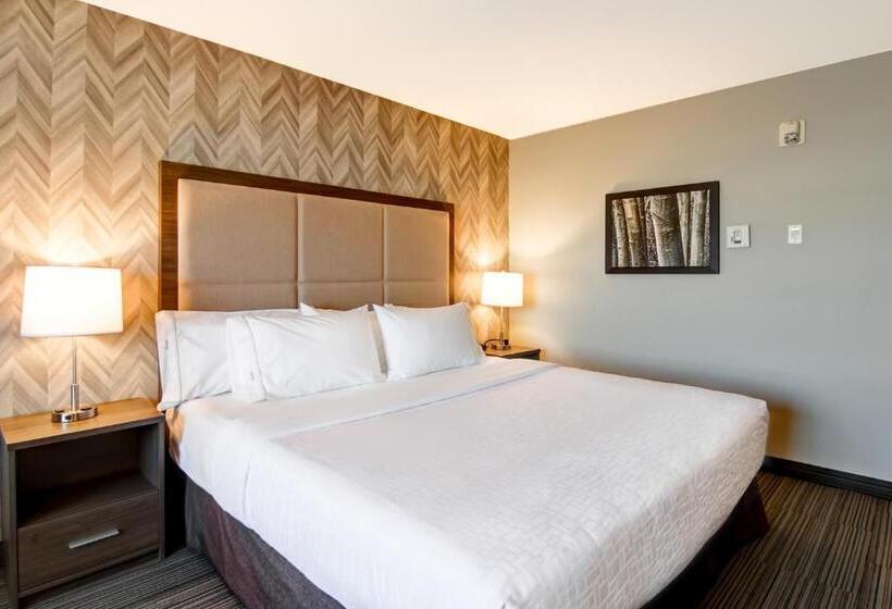 غرفة قياسية سرير كينج, Canalta Brooks