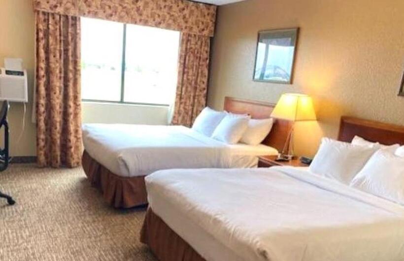 スタンダードルーム, Comfort Inn & Suites At I 74 And 155