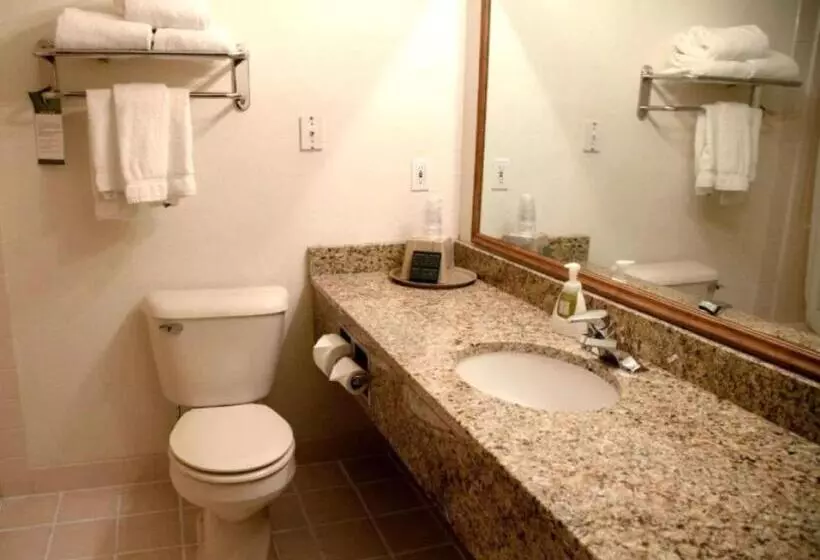 スタンダードルーム, Comfort Inn & Suites At I 74 And 155