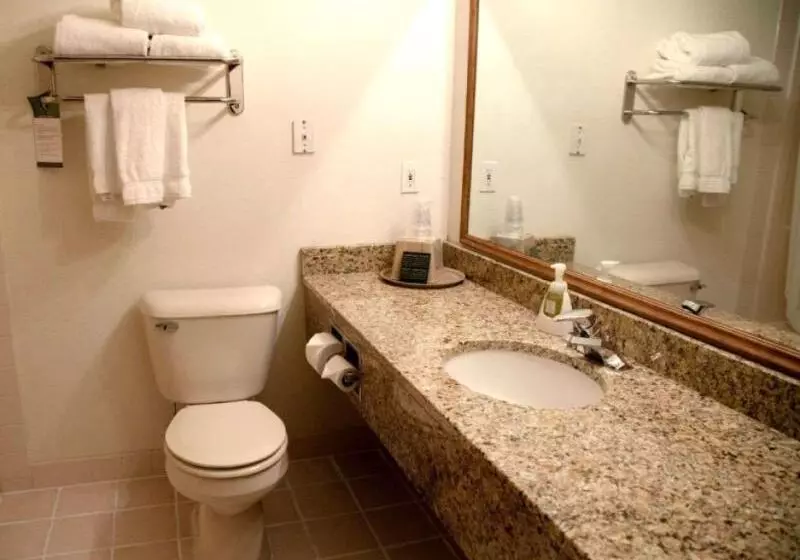 キングサイズベッドのスイートルーム, Comfort Inn & Suites At I 74 And 155