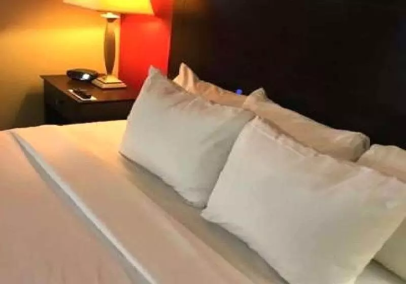 身障者適用キングサイズベッドルーム, Comfort Inn & Suites At I 74 And 155