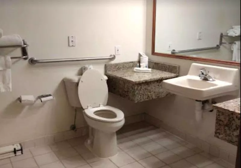 身障者適用キングサイズベッドルーム, Comfort Inn & Suites At I 74 And 155