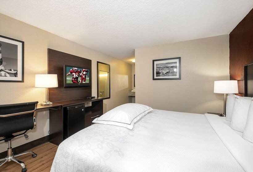 高级客房, Red Roof Inn Plus+ St. Augustine