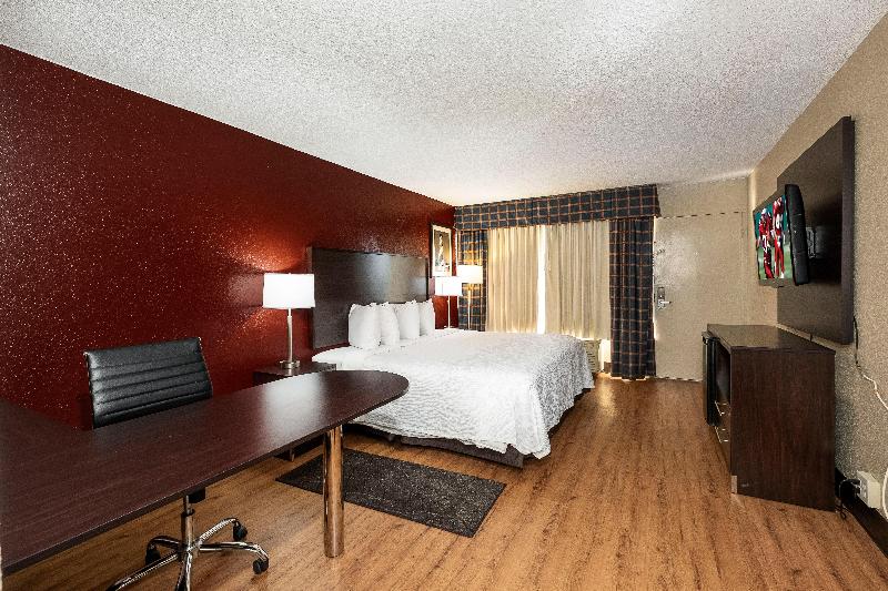 带大床的高级房间, Red Roof Inn Plus+ St. Augustine