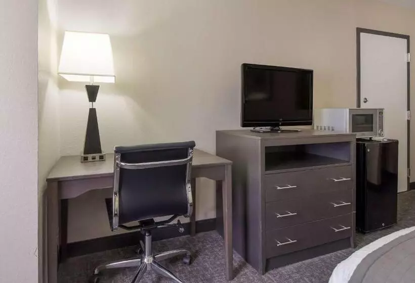 身障者適用キングサイズベッドルーム, Surestay Plus Hotel By Best Western Houston Medical Center