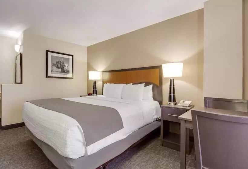 身障者適用キングサイズベッドルーム, Surestay Plus Hotel By Best Western Houston Medical Center