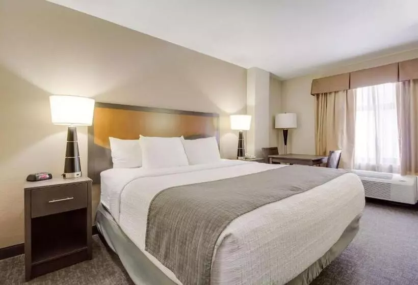 身障者適用キングサイズベッドルーム, Surestay Plus Hotel By Best Western Houston Medical Center