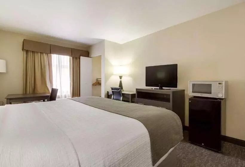 身障者適用キングサイズベッドルーム, Surestay Plus Hotel By Best Western Houston Medical Center