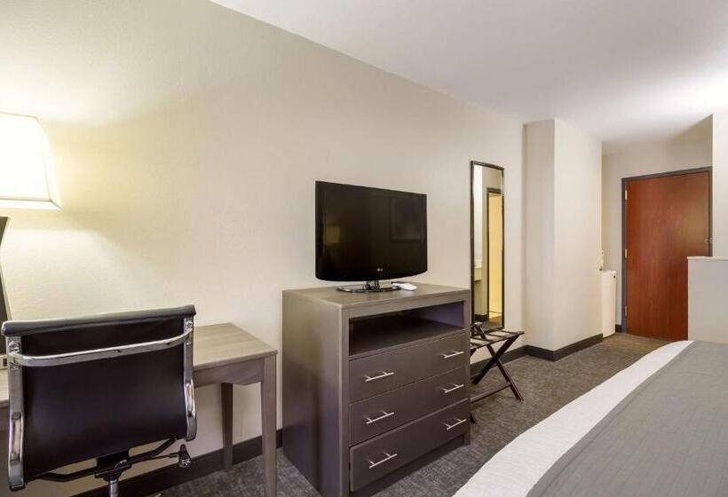 キングサイズベッドのスタンダードルーム, Surestay Plus Hotel By Best Western Houston Medical Center