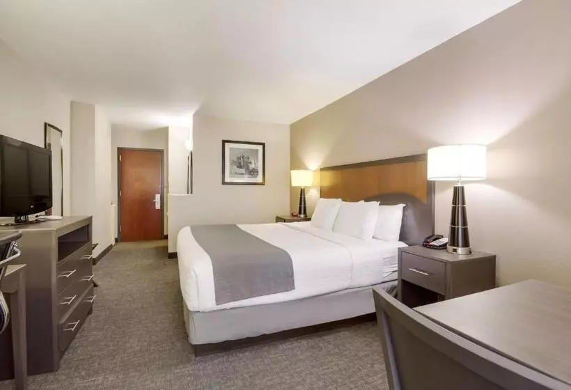 キングサイズベッドのスタンダードルーム, Surestay Plus Hotel By Best Western Houston Medical Center