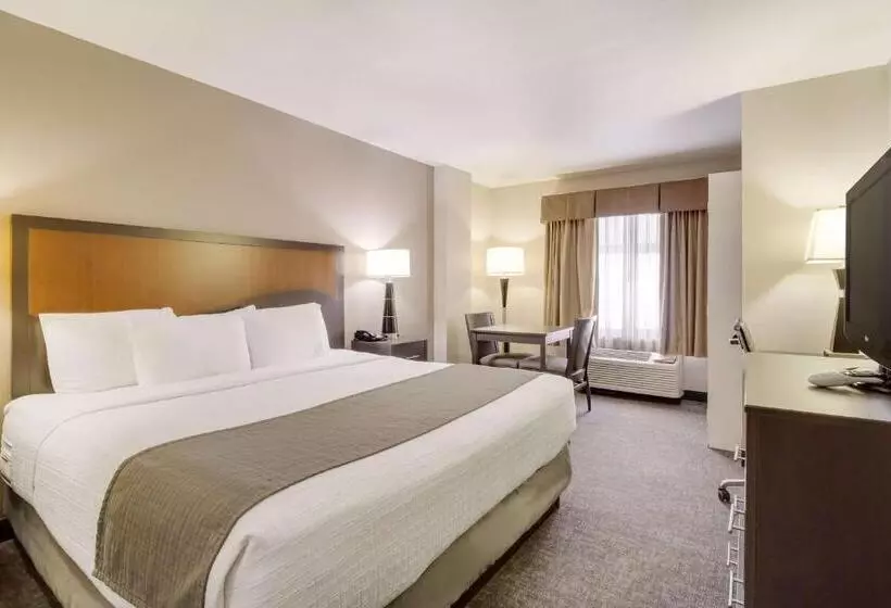 キングサイズベッドのスタンダードルーム, Surestay Plus Hotel By Best Western Houston Medical Center