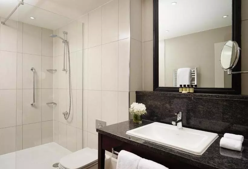 デラックスルーム, The Bailey S Hotel London Kensington