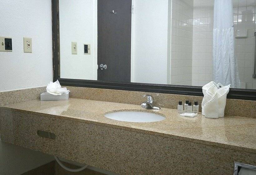 带2个双人床的标准工作室, Wyndham Garden Detroit Metro Airport