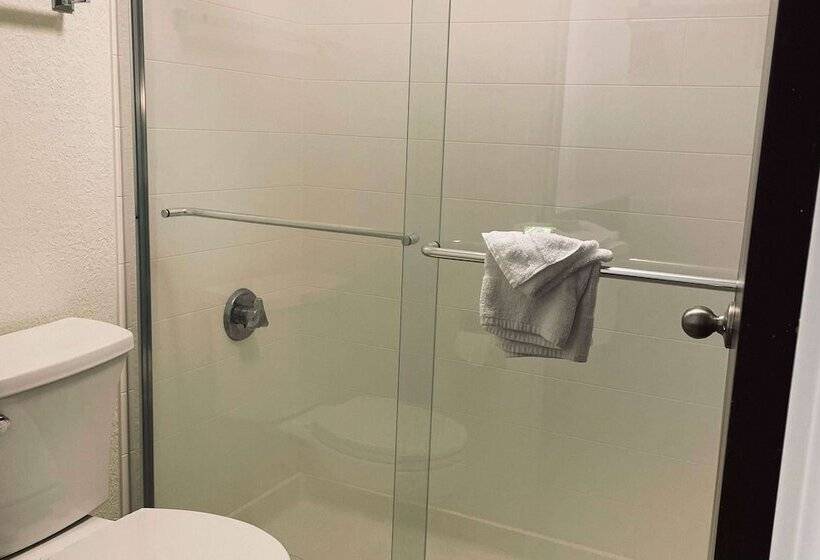 带2个双人床的标准工作室, Wyndham Garden Detroit Metro Airport