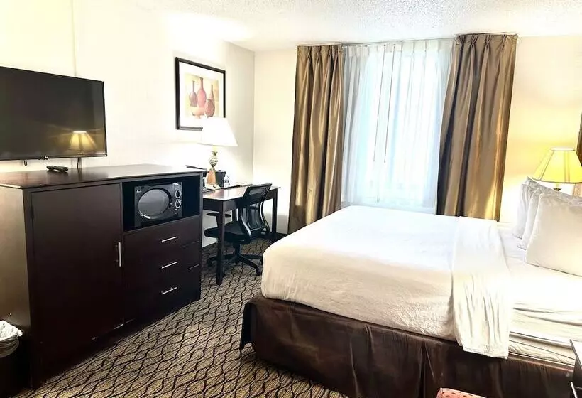 スイート, Wyndham Garden Detroit Metro Airport