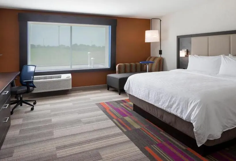 身障者適用キングサイズベッドルーム, Holiday Inn Express & Suites   Bourbonnais East   Bradley, An Ihg