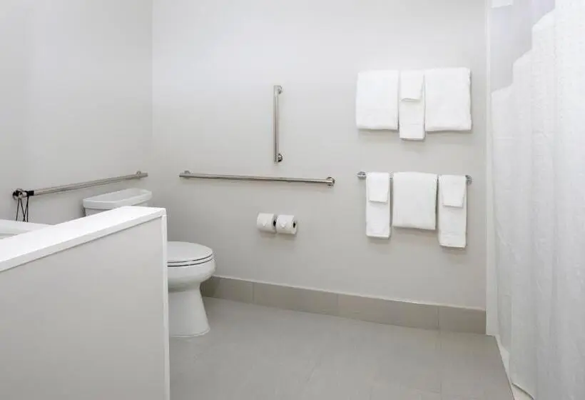 身障者適用キングサイズベッドルーム, Holiday Inn Express & Suites   Bourbonnais East   Bradley, An Ihg