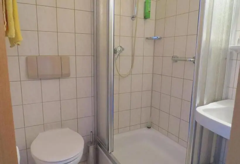 Standard Single Room, & Restaurant Mainaublick