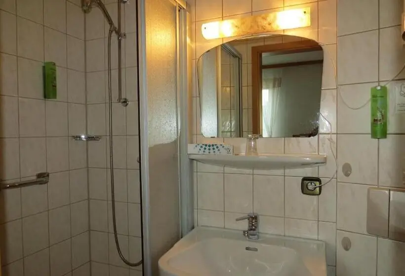 Standard Single Room, & Restaurant Mainaublick